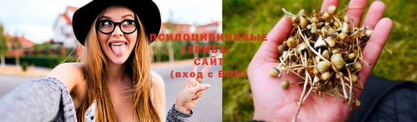 марки nbome Алексеевка