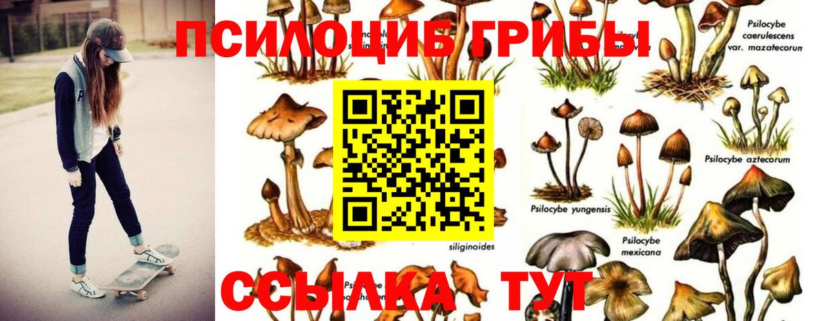 Галлюциногенные грибы ЛСД Можга