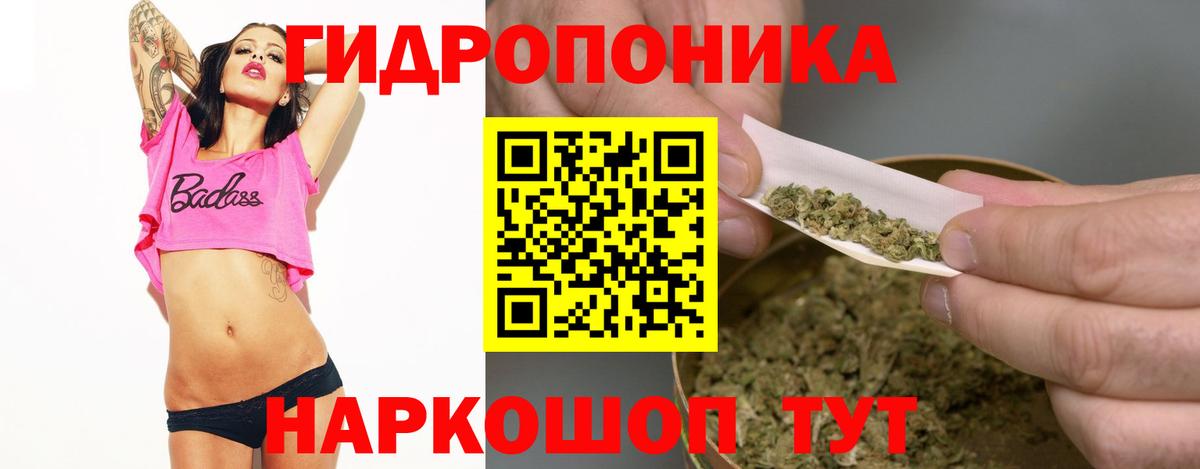 Каннабис Bruce Banner  Марихуана планчик  Можга  Вход с VPN 
